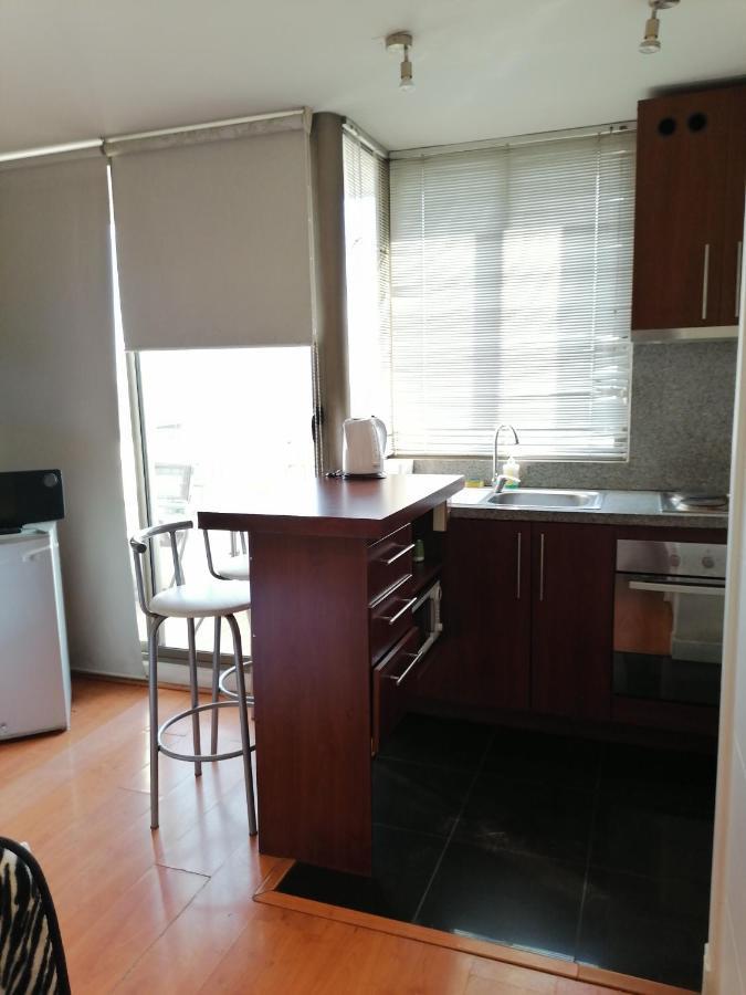 M-Montt Providencia Apartamentos Amoblados Santiago Kültér fotó